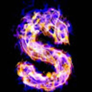 Meet your Posher, Sammy